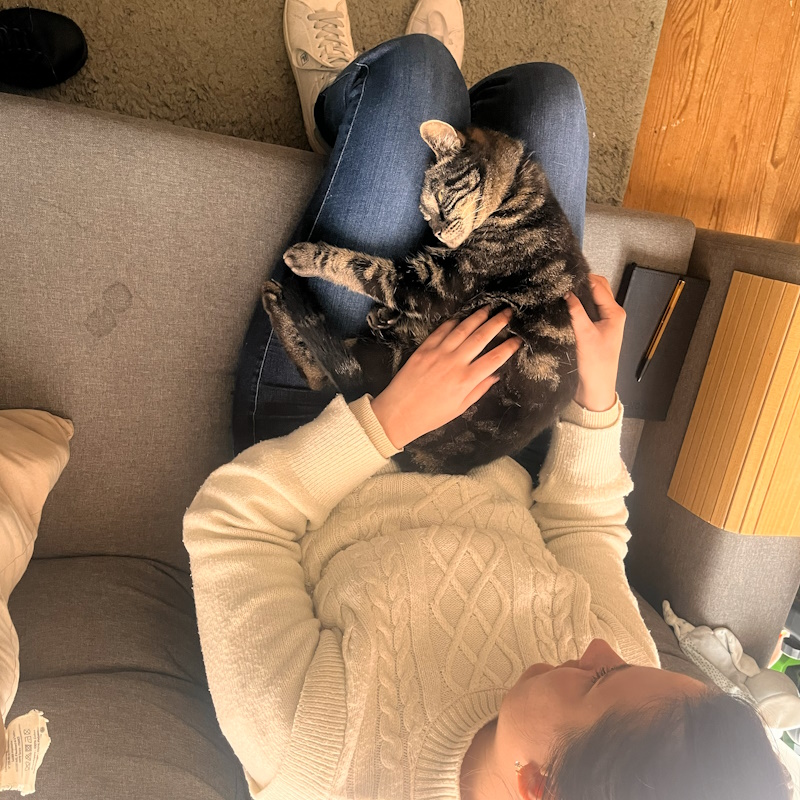 ostéopathe chat caen