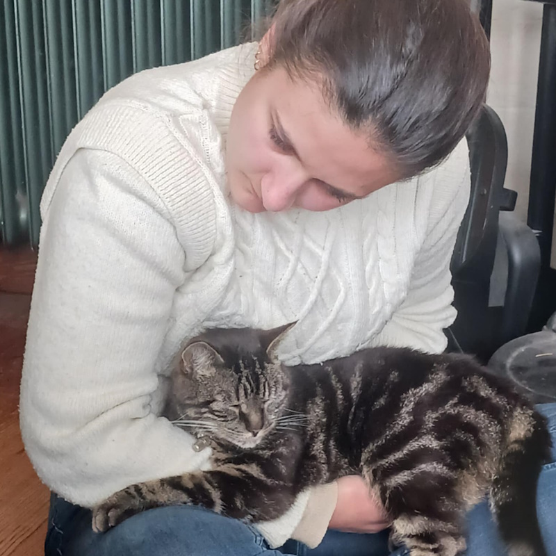 ostéopathe pour chat à domicile