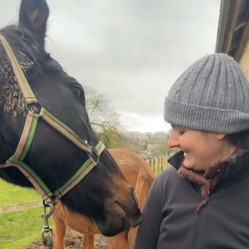 ostéopathe équidé normandie