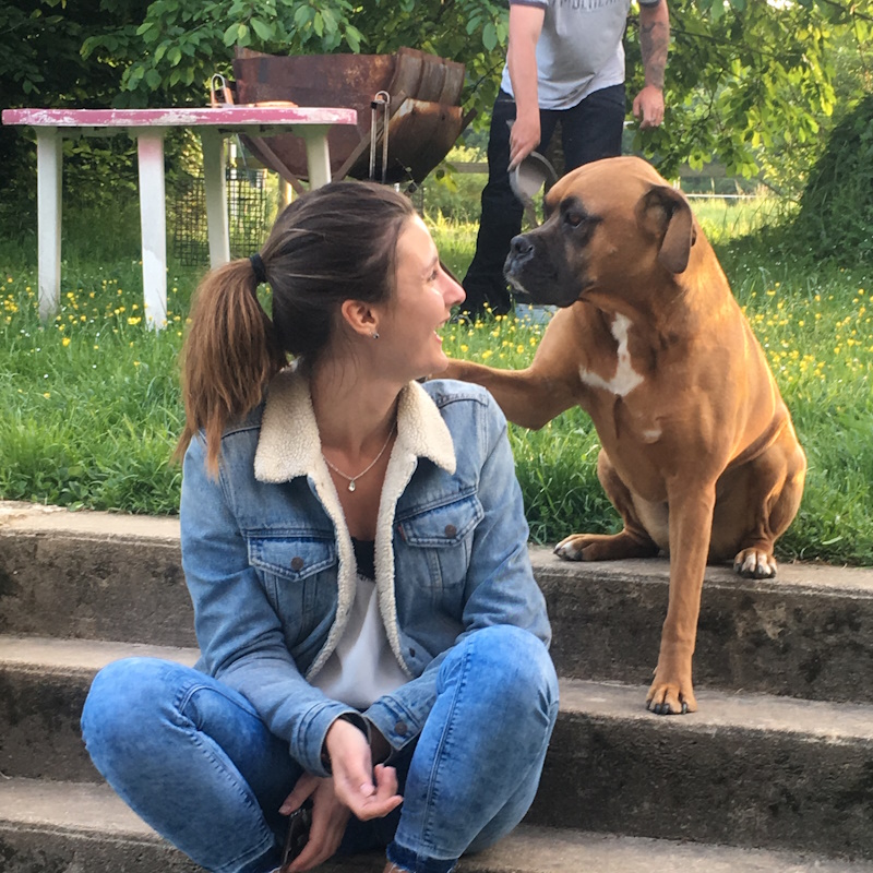 audrey delbos ostéopathe pour chien